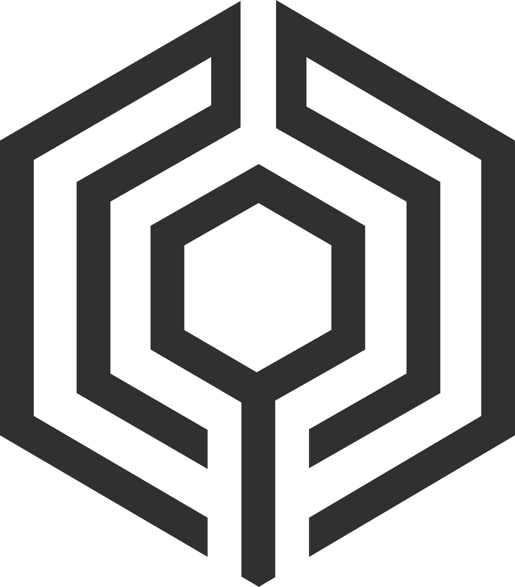 DominusID logo - Identity and Access Management company